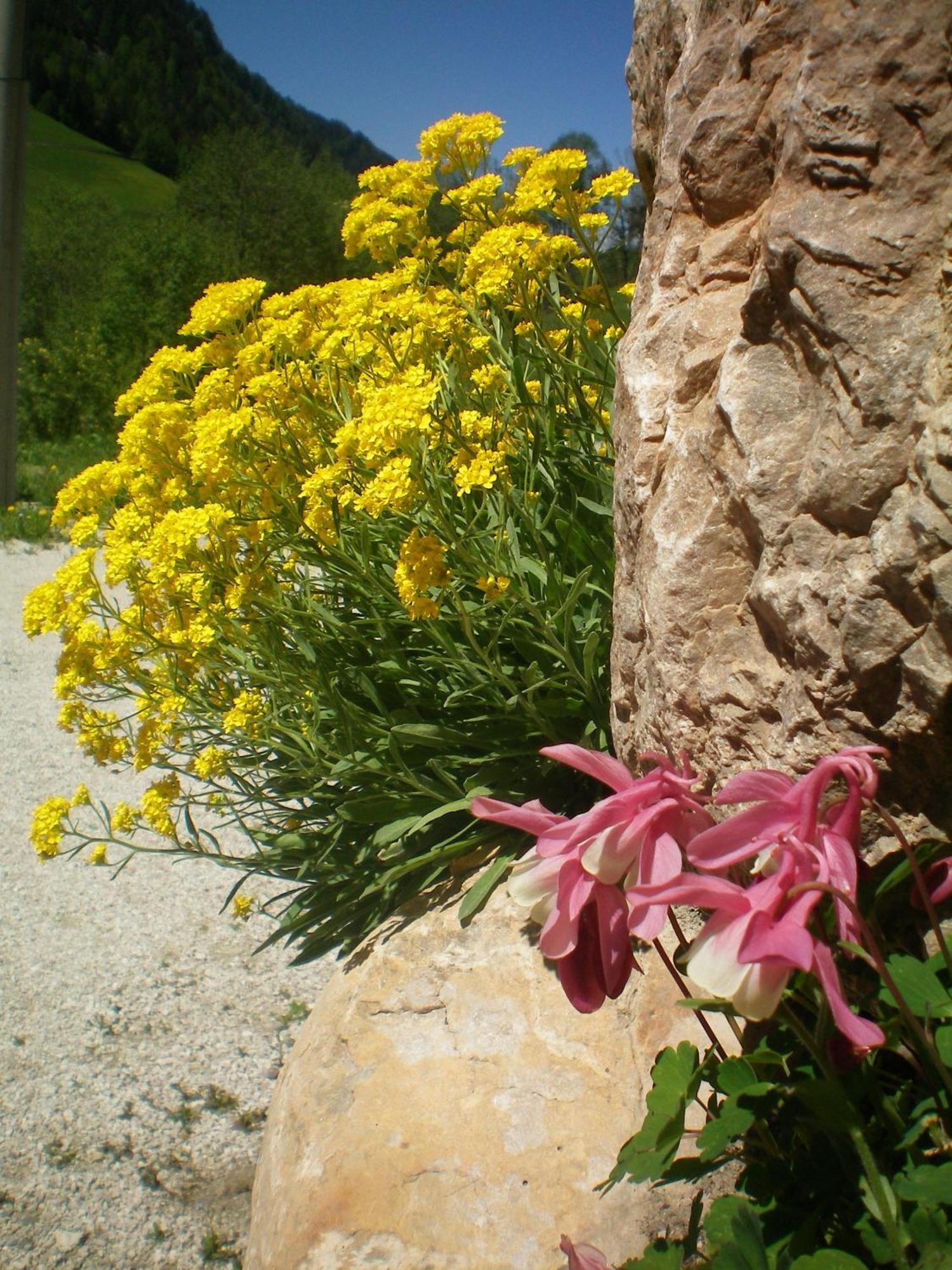 Santa Cristina Val Gardena Villa Otto מראה חיצוני תמונה